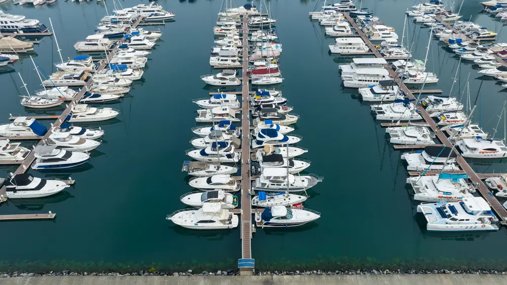 Aerial view of rows of boats moored at a marina